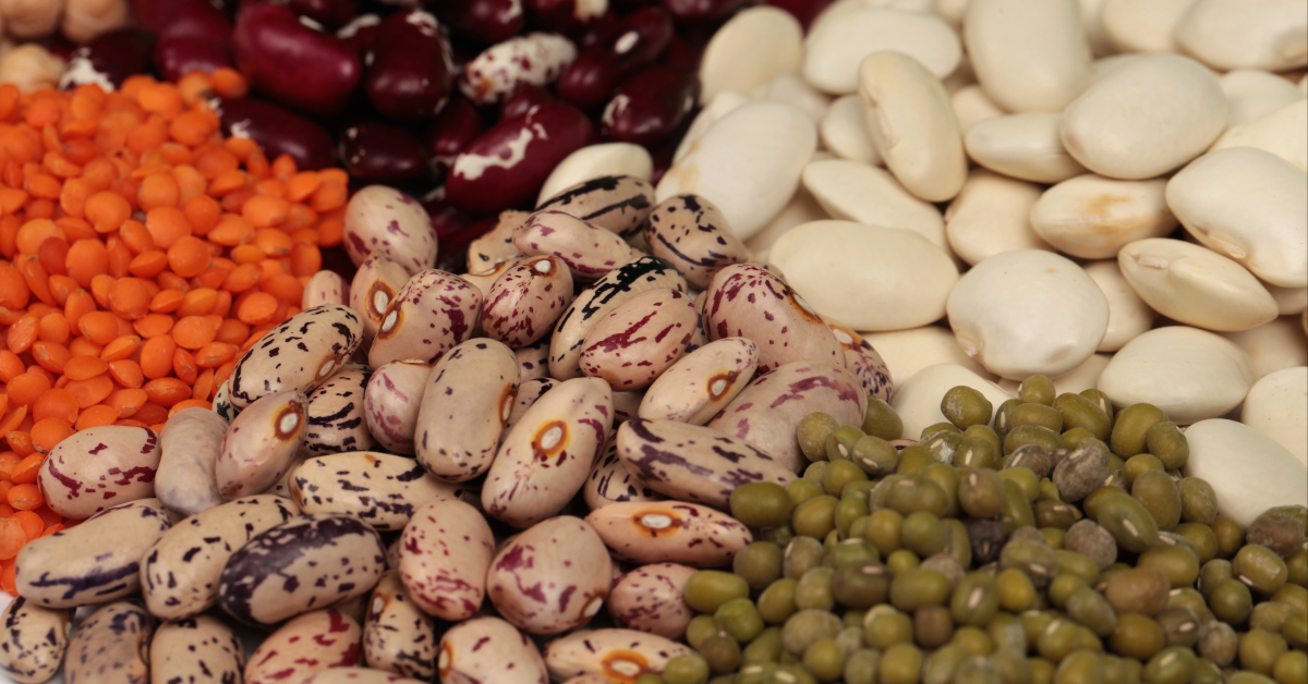Best Beans For Prepping