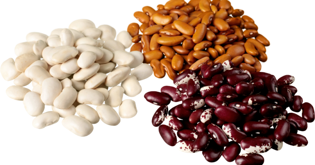 Mixed Beans