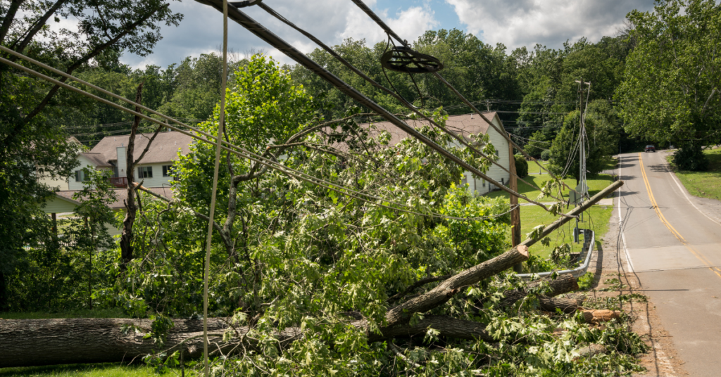 damaged power lines